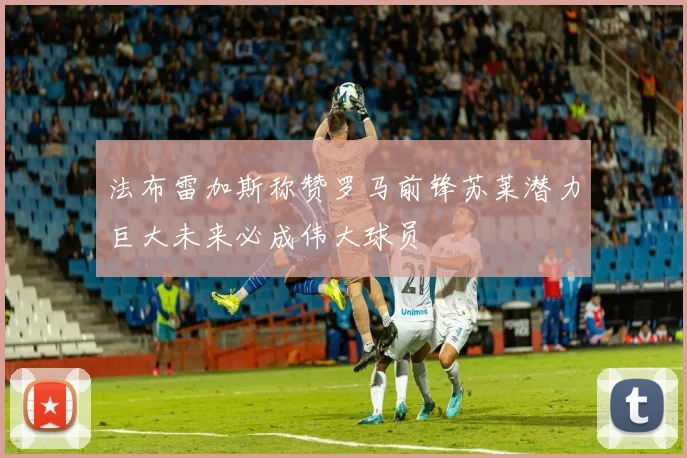 法布雷加斯称赞罗马前锋苏莱潜力巨大未来必成伟大球员