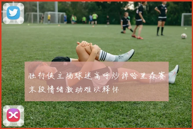独行侠主场球迷高呼炒掉哈里森赛末段情绪激动难以释怀