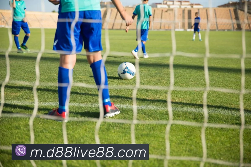 d88尊龙z6品牌故事